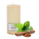 Cinnamon Aromatherapy Candle