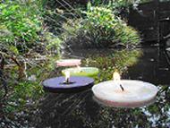 Large Pond Candles