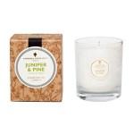 Juniper and Pine Aromatherapy Pot Candle